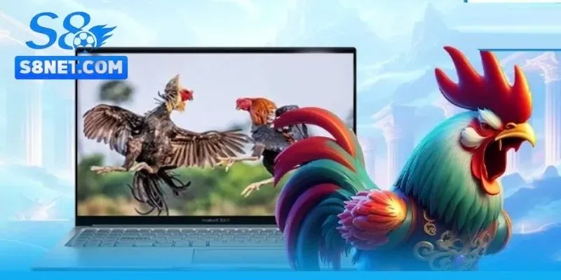Đá Gà S8 - Trường gà Trực Tuyến Giải Trí Uy Tín 4 Đá gà S8 là một sảnh game giải trí trực tuyến uy tín