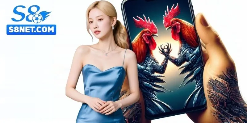 Đá Gà S8 - Trường gà Trực Tuyến Giải Trí Uy Tín 5 Sân chơi ghi điểm nhờ sự minh bạch, an toàn và tiện ích tối ưu